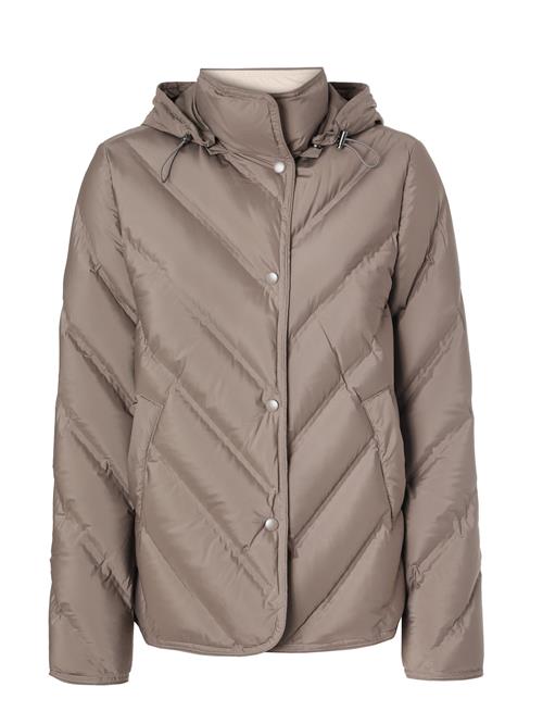 TATUUM Udendørsjakke  mørkebeige