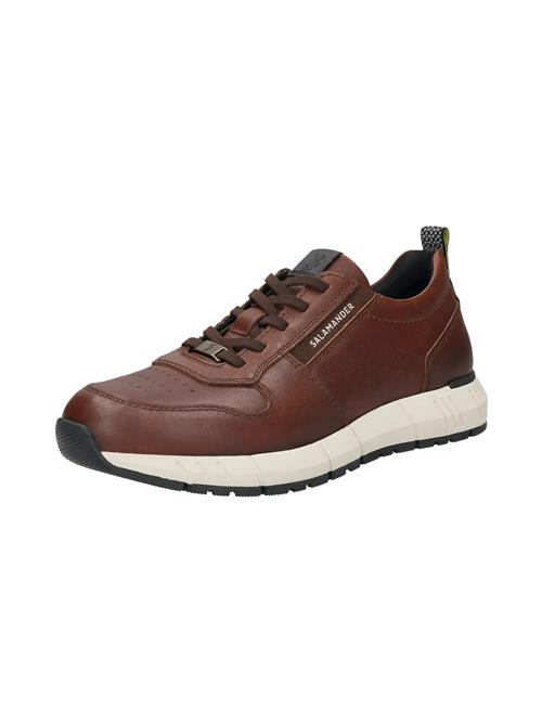 SALAMANDER Sneaker low  brun
