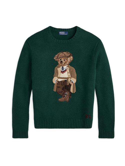 Polo Ralph Lauren Pullover  brun / mørkebrun / mørkegrøn / hvid