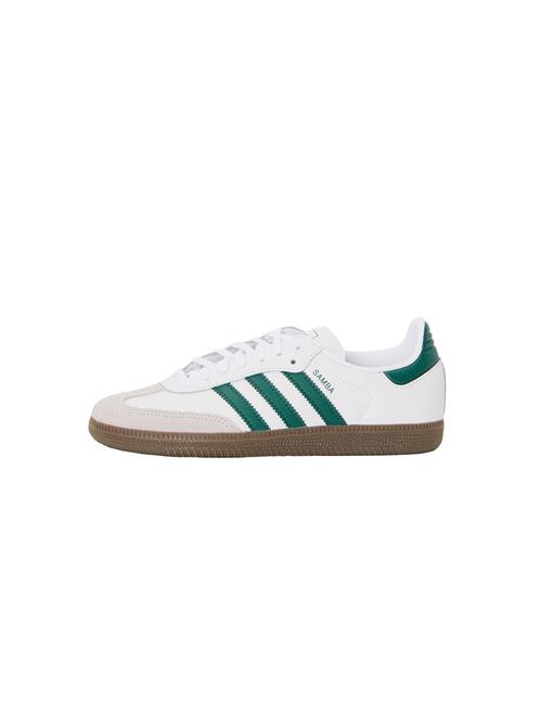 ADIDAS ORIGINALS Sneakers 'SAMBA'  taupe / smaragd / hvid