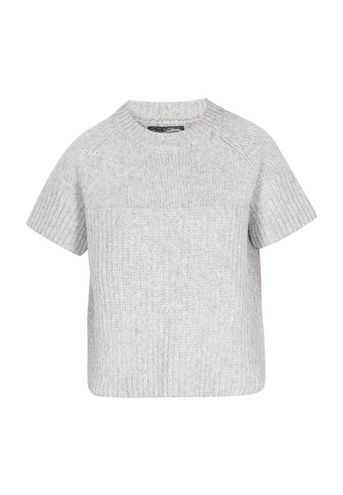 DreiMaster Vintage Shirts  lysegrå