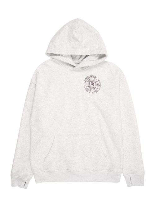 Abercrombie & Fitch Sweatshirt  lysegrå / vinrød