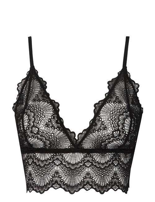 Understatement Underwear | Saboteur Lace Bralette Top | XL