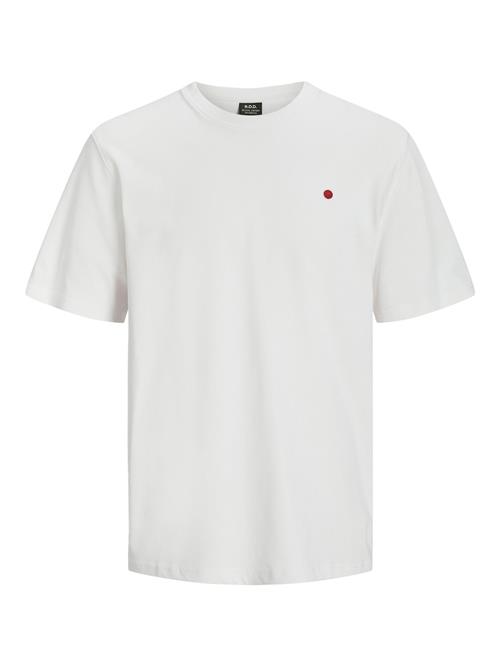 R.D.D. ROYAL DENIM DIVISION Bluser & t-shirts 'RDDROAD'  rød / hvid