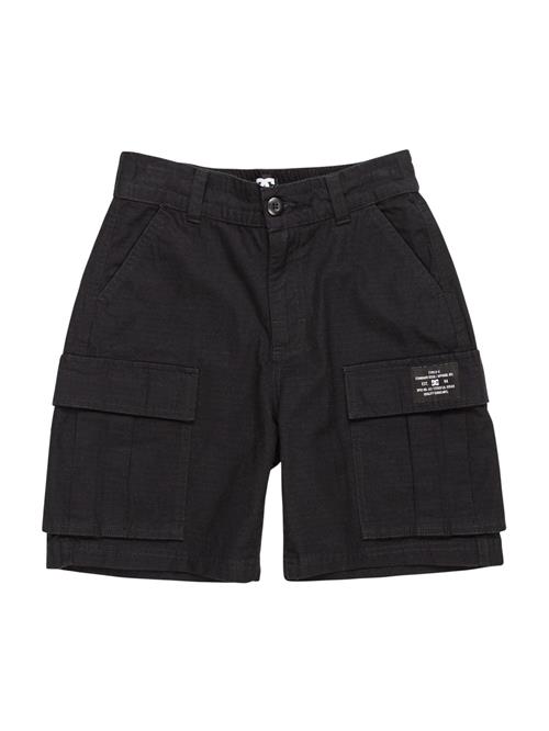 DC Shoes Sportsbukser 'TUNDRA'  sort