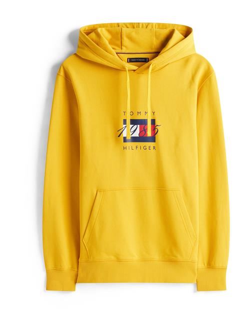 TOMMY HILFIGER Sweatshirt  navy / gul / rød / hvid