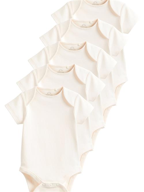 Next Sparkedragt/Body  creme