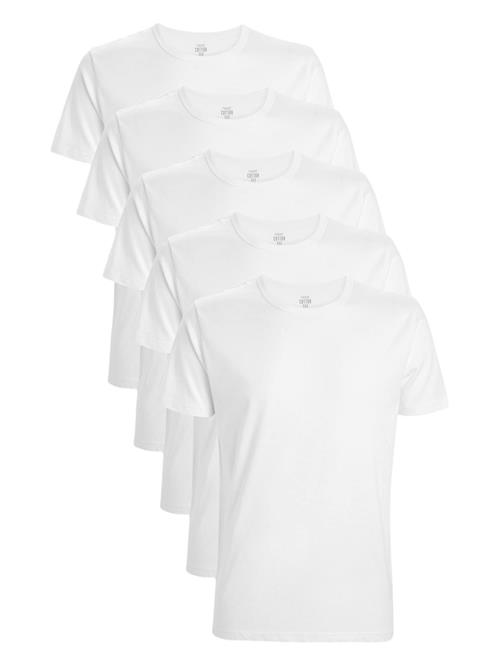 Next Bluser & t-shirts  hvid