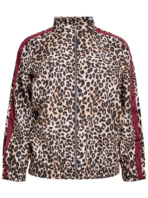 Zizzi Overgangsjakke 'Eclaru'  creme / lysebrun / mørkebrun