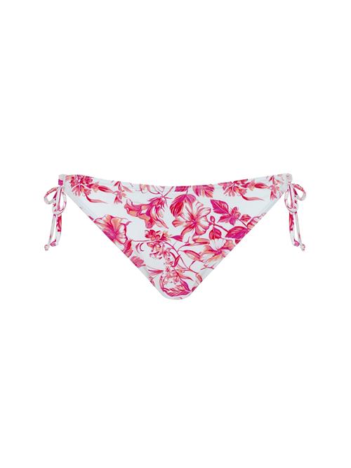 OLYMPIA Bikinitrusse  pink / fuchsia / rød / hvid