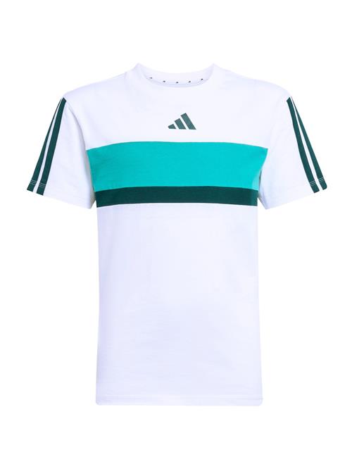 ADIDAS SPORTSWEAR Funktionsskjorte  turkis / gran / hvid