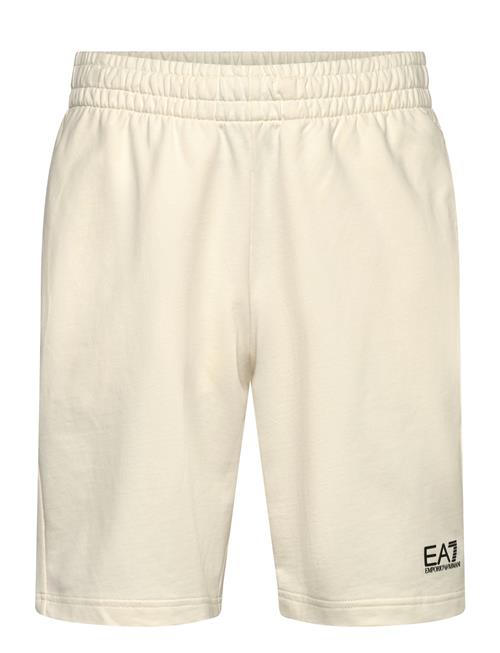 EA7 | Shorts | XL