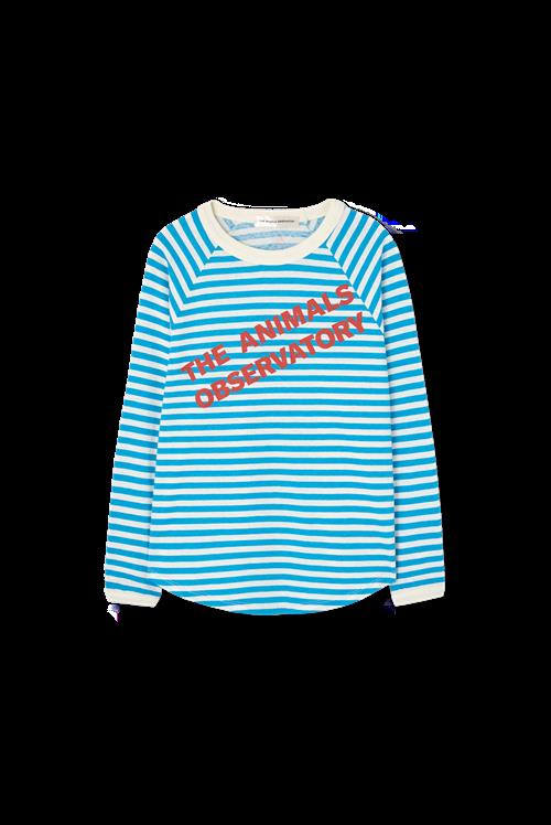 The Animals Observatory Anteater Langærmet T-shirt Blue  Blue 4 Y  Blå  4 år  mand