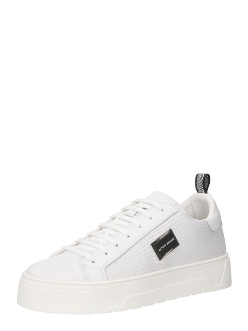 ANTONY MORATO Sneaker low  sort / hvid
