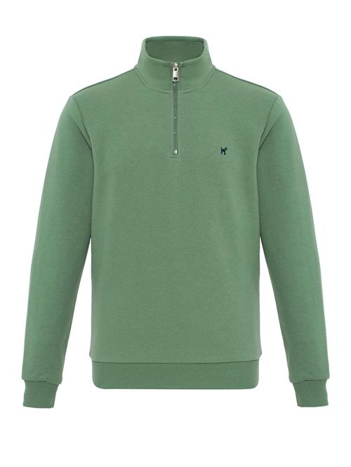Williot Sweatshirt  pastelgrøn / lysegrøn