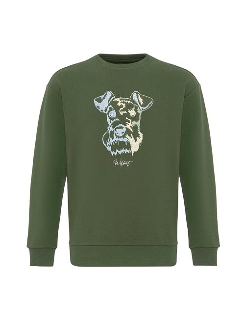 Williot Sweatshirt  blå / gul / mørkegrøn