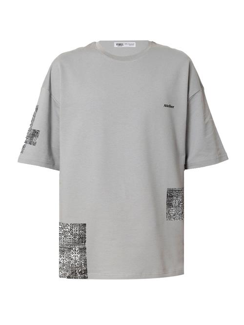 VAMOS CLO Bluser & t-shirts  grå / blandingsfarvet