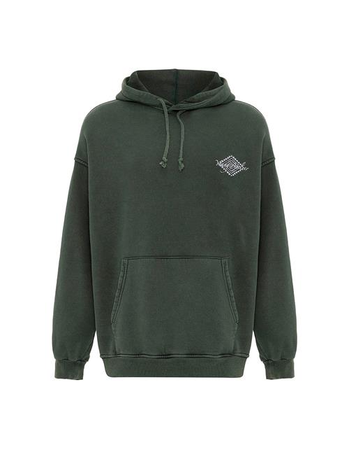 VAMOS CLO Sweatshirt  lysegrå / gran / sort