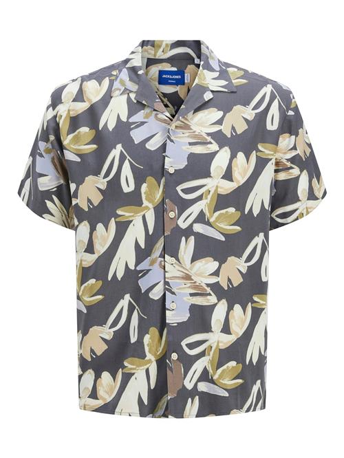 JACK & JONES Skjorte  beige / lyseblå / mørkegrå / oliven