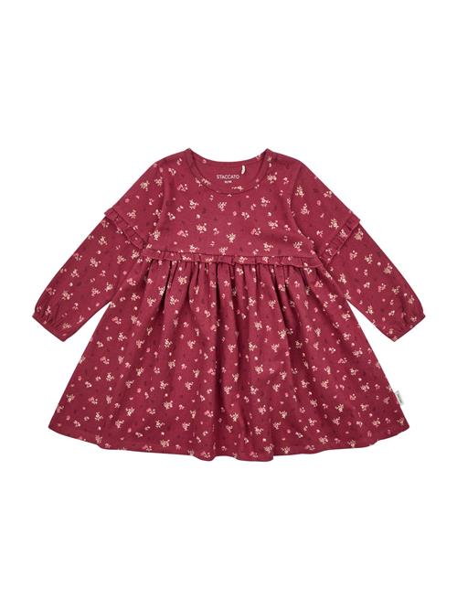 STACCATO Kjole  bær / lyserød / pudder