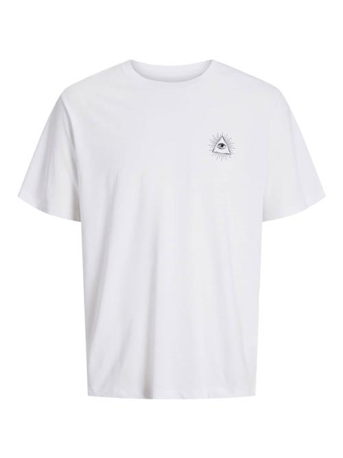 JACK & JONES Bluser & t-shirts 'JJJACKIE'  sort / hvid