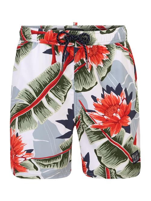 Superdry & Co Badeshorts  røgblå / grøn / lys rød / hvid