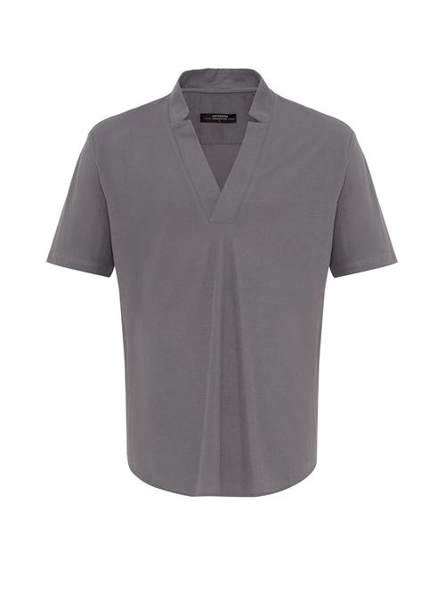 Antioch Bluser & t-shirts  grå / taupe
