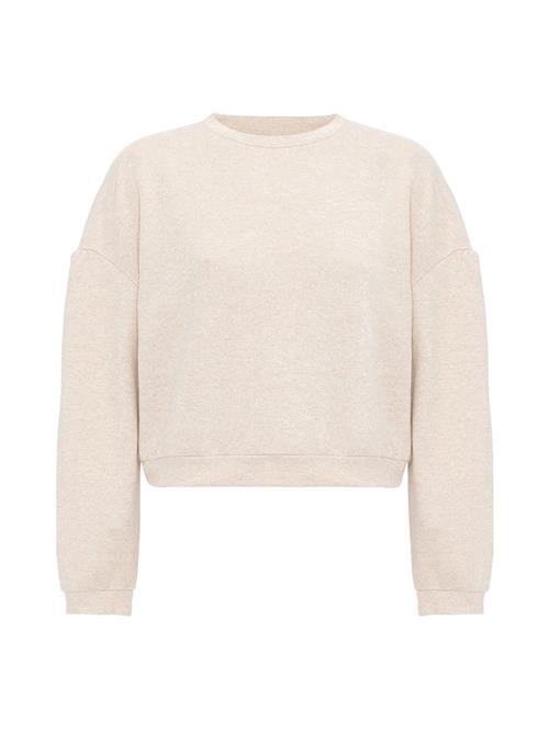 Williot Pullover  beige