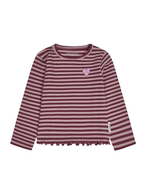 STACCATO Bluser & t-shirts  lysviolet / gammelrosa / bordeaux