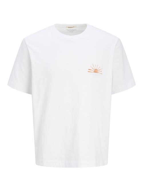 Jack & Jones Junior Shirts 'JORCanggu Summer'  azur / lyseblå / mandarin / hvid
