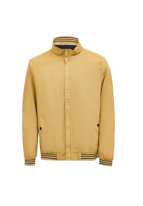 palpito Overgangsjakke  camel / sort