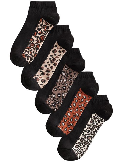 Next Sokker  beige / brun / cognac / sort