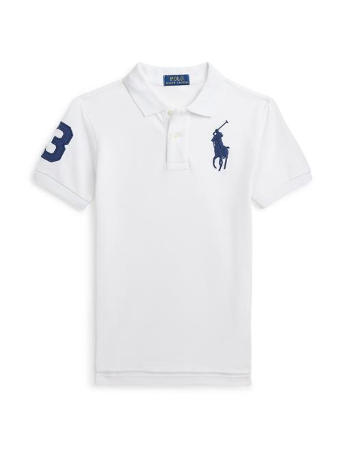 Polo Ralph Lauren Shirts  mørkeblå / hvid