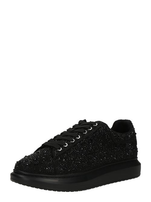 STEVE MADDEN Sneaker low 'Icebox'  sort