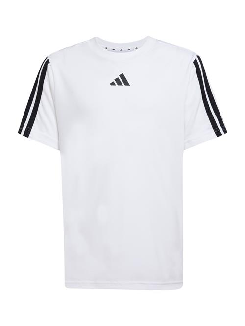 ADIDAS SPORTSWEAR Shirts  sort / hvid