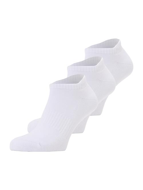 SCOTCH & SODA Sokker  hvid