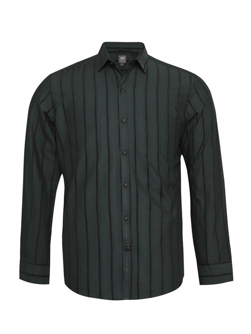 Campus Sutra Skjorte 'Teale'  grøn / sort