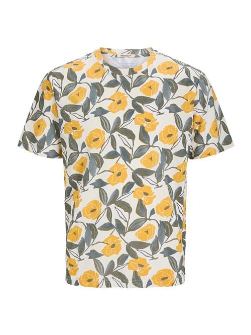 Jack & Jones Junior Shirts 'JORALMERIA'  creme / safir / curry / antracit
