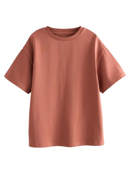 Next Bluser & t-shirts  rustbrun