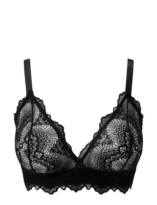 Understatement Underwear | Lace Triangle+ Bralette | L