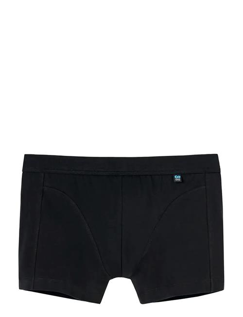 Schiesser | Shorts | XL