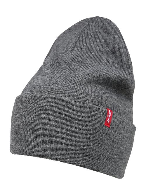 LEVI'S ® Hue 'Everyday Beanie'  mørkegrå
