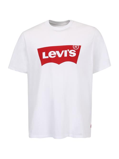 Levi's® Big & Tall Bluser & t-shirts 'Graphic T-Shirt (Big & Tall)'  rød / hvid