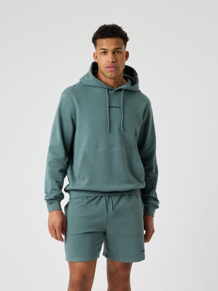 Björn Borg Borg Classic Hoodie Grøn, S