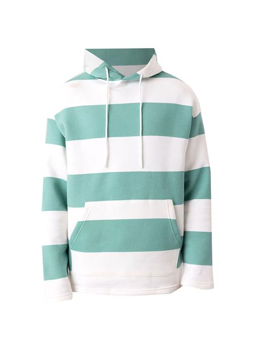 Dandalo Sweatshirt  mint / hvid