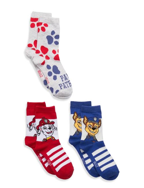 Paw Patrol | Socks | 27/30
