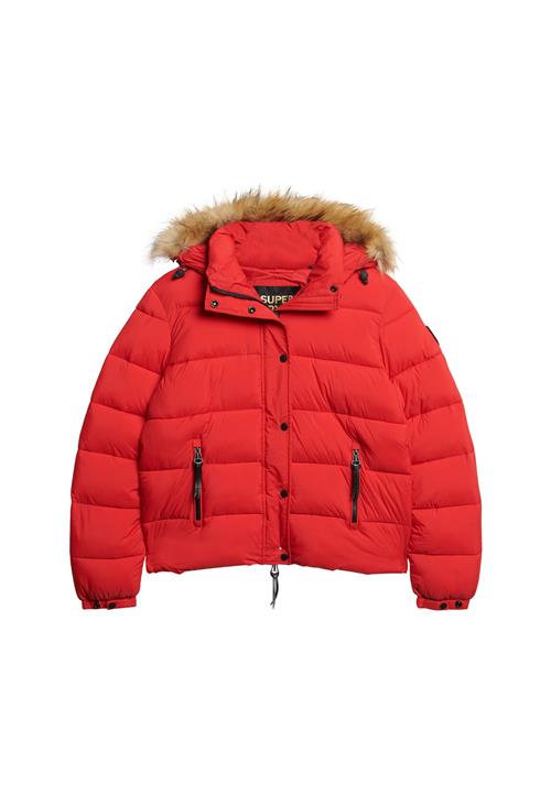 Superdry & Co Vinterjakke  beige-meleret / lys rød