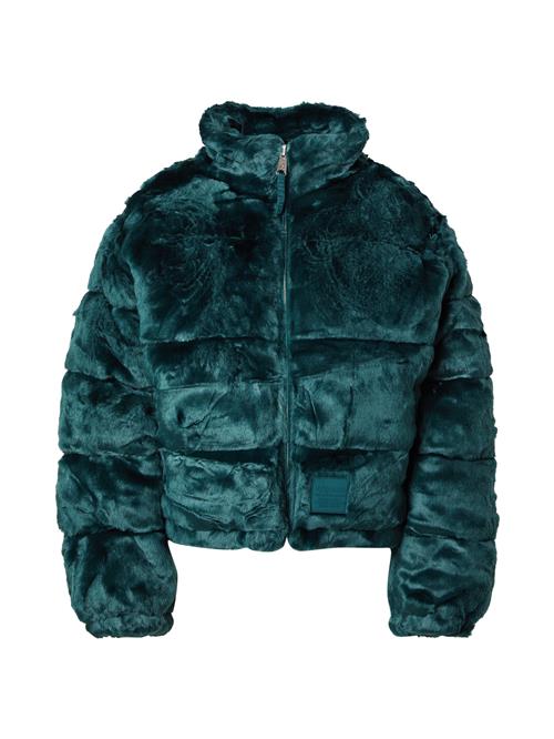 ALPHA INDUSTRIES Vinterjakke  smaragd