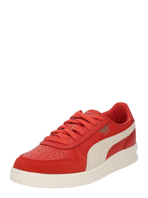 PUMA Sneaker low  rød / hvid