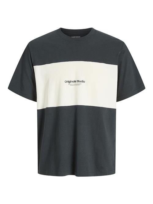 JACK & JONES Bluser & t-shirts  grå / hvid